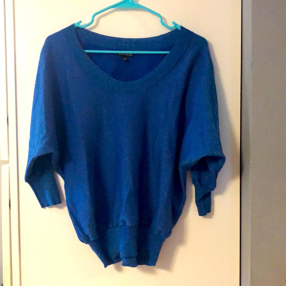 Express blue sparkle sweater